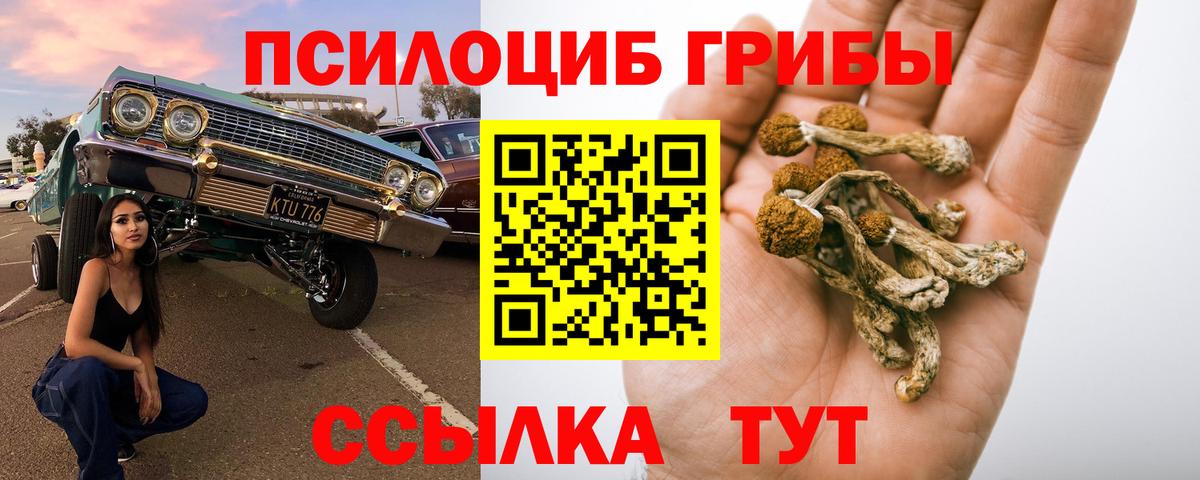 Псилоцибиновые грибы GOLDEN TEACHER  Вход с VPN  Калининград 
