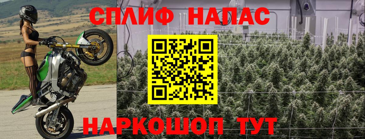 Канабис OG Kush Калининград